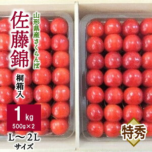yӂ邳Ɣ[Łzځi  j1kgi 500g × 2pbN j˔ L ` 2LTCY Gi t[c ʕ i Mtg v[g k R` Rs 0056-2609
