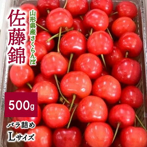 yӂ邳Ɣ[Łz (  ) 500g ol LTCY t[c ʕ  R` Rs 0056-2603