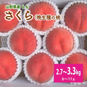 yӂ邳Ɣ[Łz  (  ) 6~11ʁy 3kg 2.7~3.3kgl߁zGi   ʕ t[c k R` Rs 0056-2617