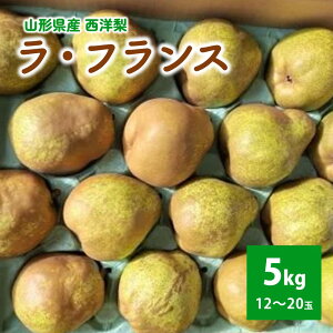 yӂ邳Ɣ[ŁzmiEtXj5kg ƒp t[c R` Rs 0056-2527