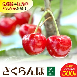 yӂ邳Ɣ[Łz  (   gG ) 500g ƒp MTCYȏ ol t[c ʕ Yn  R` Rs 0056-2601