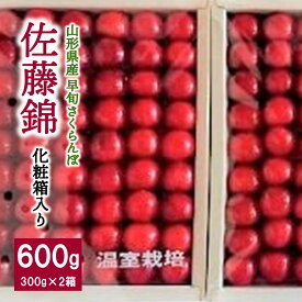 【ふるさと納税】 早旬 さくらんぼ ( 佐藤錦 ) 600g 手詰め 化粧箱入り 贈答 フルーツ くだもの 東北 山形県 上山市 0060-2602