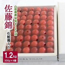 【ふるさと納税】 早旬 さくらんぼ ( 佐藤錦 ) 1.2kg 手詰め 化粧箱入り 贈答 フルーツ 果物 東北 山形県 上山市 0060-2603