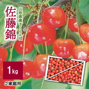 yӂ邳Ɣ[Łz  1kg ol ƒp t[c ʕ 񂹃O ①z R` Rs 0060-2605