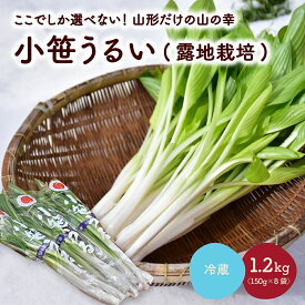 【ふるさと納税】【ここでしか選べない野菜】 GI登録 「 小笹 うるい 」(露地栽培) 150g × 8袋 東北 山形県 上山市 0060-2407