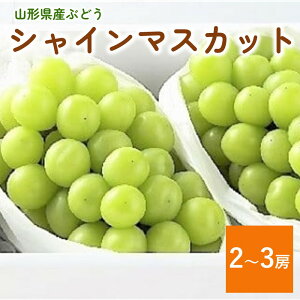 yӂ邳Ɣ[ŁzԂǂ ( VC}XJbg ) 2`3[ ƒp Ȃ uhE  t[c  ʕ Yn  k R` Rs 0060-2513