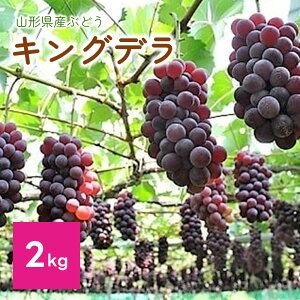 �y�ӂ邳�Ɣ[�Łz �Ԃǂ� ( �L���O�f�� ) 2kg �t���[�c �������� ���k �R�`�� ��R�s 0060-2606