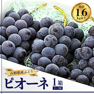 yӂ邳Ɣ[ŁzԂǂ ( sI[l ) 1.6kg ʕ t[c k R` Rs 0060-2609