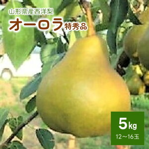 yӂ邳Ɣ[Łzm (I[) 5kg 12`16 Gi mȂ m t[c  ʕ Yn   k R` Rs 0060-2608