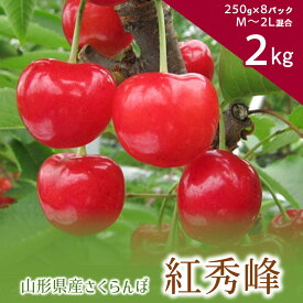 【ふるさと納税】さくらんぼ ( 紅秀峰 ) 計 2kg （ 1kg × 2箱 ）ご家庭用 250g × 8パック M～2Lサイズ混合 果物 フルーツ 産地直送 送料無料 お取り寄せ 山形県 上山市 0062-2402