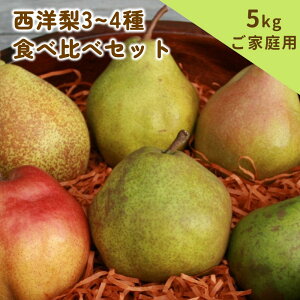 yӂ邳Ɣ[Łzm 3~4 Hה Zbg 5kg ƒp mȂ t[c R` Rs 0062-2504