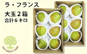 yӂ邳Ɣ[ŁzmiEtXj6kg  ƒp mȂ t[c R` Rs 0062-2505