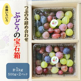 【ふるさと納税】ぶどう の 宝石箱 ( 品種 いろいろ、粒のみ 詰合せ ) 500g × 2パック 果物 フルーツ 産地直送 送料無料 山形県 上山市 0065-2603