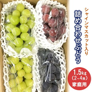 yӂ邳Ɣ[ŁzVC}XJbg  lߍ킹 Ԃǂ 1.5kg ƒp ʕ t[c R` Rs 0065-2504