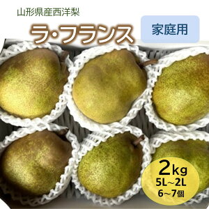 yӂ邳Ɣ[Łzm ( EtX ) 2kg ƒp ʕ t[c m Ȃ Yn  R` Rs 0065-2505