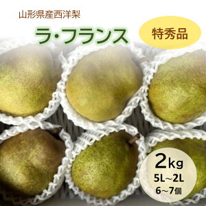 yӂ邳Ɣ[Łzm ( EtX ) 2kg 6`7 5L`2L Gi ʕ t[c m Ȃ R` Rs 0065-2507
