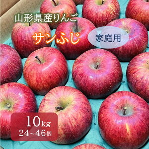 yӂ邳Ɣ[Łz  i Tӂ j 10kg 24`46 ƒp ʕ t[c Yn  R` Rs 0065-2512