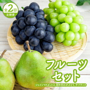 yӂ邳Ɣ[Łzy  FS2z t[cZbg i VC}XJbg lߍ킹Ԃǂ A EtX jt[c ʕ VC}XJbg Ԃǂ m R` Rs 0065-2601