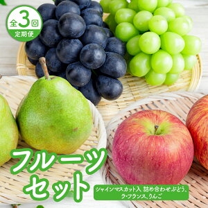 yӂ邳Ɣ[Łzy  FS3z t[cZbg i VC}XJbglߍ킹 ԂǂA EtX A  j t[c ʕ VC}XJbg Ԃǂ m Tӂ R