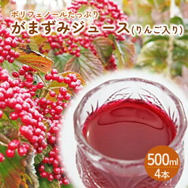 【ふるさと納税】【2027年2月～発送】がまずみ ジュース ( りんご 入り ) 500ml × 4本 産地直送 山形 お取り寄せ 送料無料 山形県 上山市 0075-2617