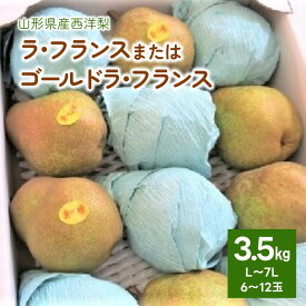 【ふるさと納税】 西洋梨 （ ラ・フランス または ゴールドラ・フランス ）3.5kg ご家庭用 6～12玉 7L～L サイズ 果物 フルーツ 洋なし 産地直送 山形 お取り寄せ 送料無料 山形県 上山市 0075-2407