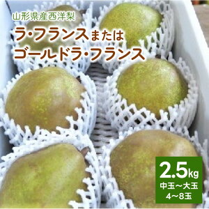yӂ邳Ɣ[Łzmi EtX ܂ S[hEtX j 2.5kg ʁ` ʕ t[c Yn R` mȂ   R` Rs 0075-2508
