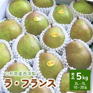 yӂ邳Ɣ[Łz m ( EtX ) 5kg ʁ` 20`10 ʕ t[c mȂ Yn R`   R` Rs 0075-2509