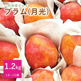 【ふるさと納税】プラム ( 月光 ) 1.2kg ご家庭用 10～15個 果物 フルーツ すもも 産地直送 山形 お取り寄せ 送料無料 山形県 上山市 0075-2603