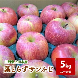 【ふるさと納税】【2026年1月から発送】りんご（葉とらずサンふじ） 5kg ご家庭用 フルーツ 山形県 上山市 0075-2515