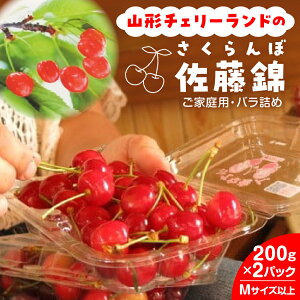 �y�ӂ邳�Ɣ[�Łz�R�`�`�F���[�����h�� �������� �i ������ �j 200g × 2�p�b�N ���ƒ�p �t���[�c �ʕ� �R�`�� ��R�s 0075-2601