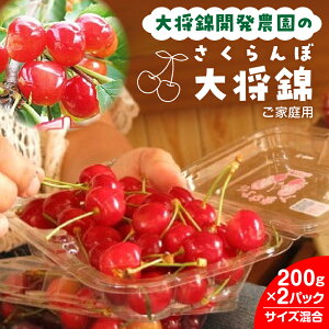 yӂ邳Ɣ[Łz i叫сj 200g×2pbN ƒp ʕ t[c R` Rs 0075-2602