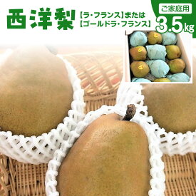 【ふるさと納税】 西洋梨 （ ラ・フランス または ゴールドラ・フランス ）3.5kg ご家庭用 6～12玉 7L～L サイズ 果物 フルーツ 洋なし 産地直送 山形 お取り寄せ 送料無料 山形県 上山市 0075-2607