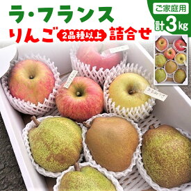 【ふるさと納税】ラ・フランス と りんご 2品種 以上の 詰合せ 3kg ご家庭用 8～13玉 果物 フルーツ 産地直送 山形 洋なし お取り寄せ 送料無料 山形県 上山市 0075-2611