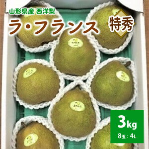 yӂ邳Ɣ[ŁzyR`ZNVFiz EtX 3kg I Mtgp 8 4LTCY ʕ t[c mȂ  R` Yn  R` Rs 0078-2504
