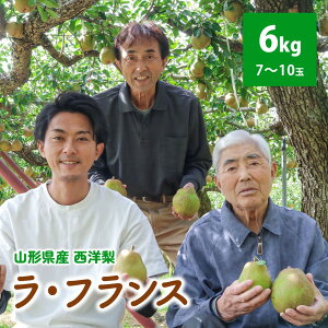 yӂ邳Ɣ[Łzm EtX 6kg ƒp 3kg × 2 ʕ t[c mȂ  R` Yn  R` Rs 0078-2507