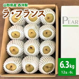 yӂ邳Ɣ[ŁzyR`ZNVFiz EtX  6L 6.3kg Gi ʕ t[c mȂ m  R` Yn  R` Rs 0078-2508