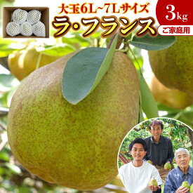 【ふるさと納税】西洋梨 （ ラ・フランス ） 3kg 大玉 ご家庭用 5～6玉 6L～7Lサイズ 果物 フルーツ 洋なし お取り寄せ 山形 産地直送 送料無料 山形県 上山市 0078-2611