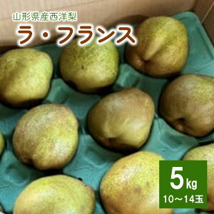 yӂ邳Ɣ[Łzm EtX 5kg 10~14 6L`4L TCY Gi ʕ t[c Yn R`   R` Rs 0079-2517