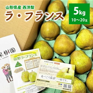 yӂ邳Ɣ[ŁzmiEtXj5kg 10`20 ƒp t[c R` Rs 0079-2515