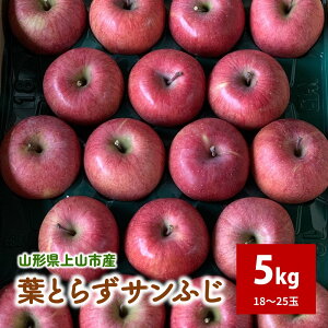 yӂ邳Ɣ[ŁzL@엿͔| tƂ炸Tӂ RsY 5kg 18`25 Gi  R` Rs 0079-2523