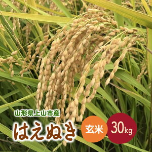 yӂ邳Ɣ[Łzy2025N11`zߘa7NY ͂ʂiāj30kg  R` Yn   R` Rs 0079-2530