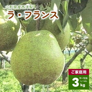 yӂ邳Ɣ[Łz m i EtX j3kg ƒp L`4L TCY 12`9 s ʕ t[c m  Yn  R` Rs 0089-2501