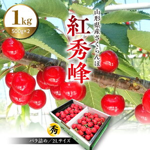 yӂ邳Ɣ[Łz ( gG ) 1kg Gi 2L TCY ʕ t[c   R` Rs 0096-2601