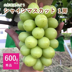 yӂ邳Ɣ[ŁzVC}XJbg 1[ 600g ȏ Ԃǂ t[c ʕ   R` Rs 0102-2501