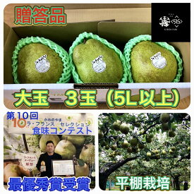 【ふるさと納税】西洋梨 (ラ・フランス) 大玉 3玉 5L~8L サイズ 贈答品 フルーツ 果物 洋梨 なし お取り寄せ 送料無料 山形県 上山市 0102-2603