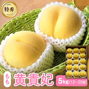 yӂ邳Ɣ[Łz ʌ  ( M ) 5kg 12`20 Gi t[c ʕ  i v[g Mtg Yn  k R` Rs 0106-2603