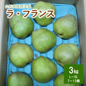 yӂ邳Ɣ[Łzm iEtXj 3kg ƒp ʕ t[c Yn R` mȂ   R` Rs 0110-2505