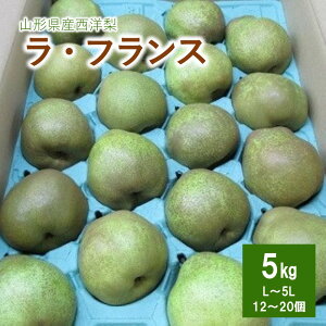 yӂ邳Ɣ[Łzm iEtXj 5kg ƒp ʕ t[c mȂ Yn R`   R` Rs 0110-2507