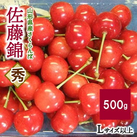 【ふるさと納税】 さくらんぼ 佐藤錦 500g Lサイズ以上 秀品 化粧箱入り フルーツ 果物 山形県 上山市 0112-2404