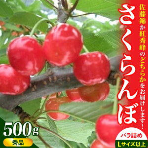 yӂ邳Ɣ[Łzځi   gG j500g Gi ʕ t[c R` Rs 0112-2602
